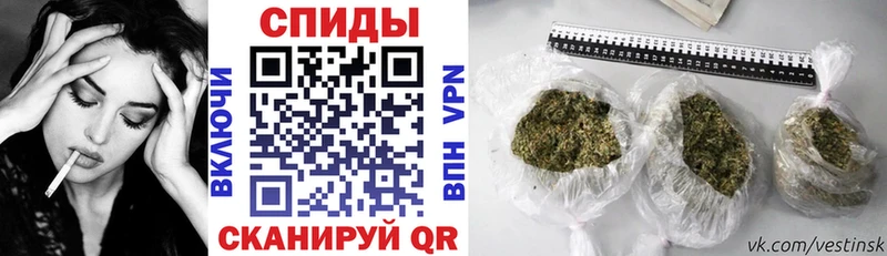 БУТИРАТ 99%  как найти   Магас 