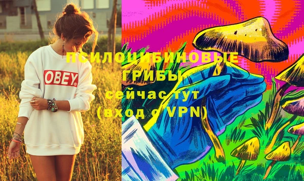 мяу мяу мука Кулебаки