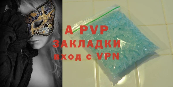 стафф Ладушкин