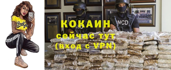 стафф Ладушкин